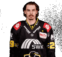 Del2 Kev Sticker by Krefeld Pinguine