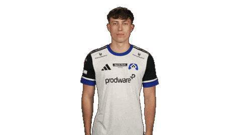 Hamburger Sv Yawn Sticker by Bundesliga