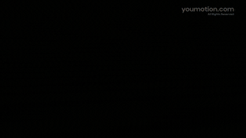 Animated Ecology Titles