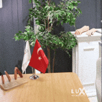 luxmed  GIF