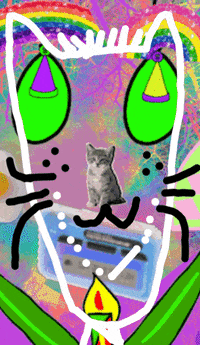 Spring Has Come Cat GIF