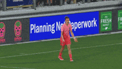 Germany What GIF by National Women's Soccer League