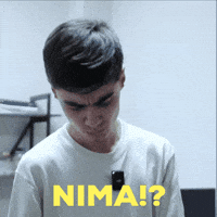 sindoruz what nima sindoruz GIF