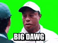 Thanks Homie GIF
