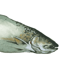 BellsBrewery love beer i love you craft beer Sticker