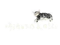 Syhaa Sticker