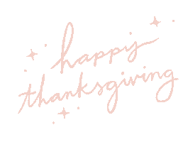 Pumpkin Pie Thanksgiving Sticker by Kelsey Davis