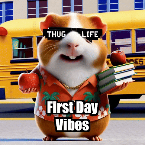 School Education GIF by Guinea Gambino