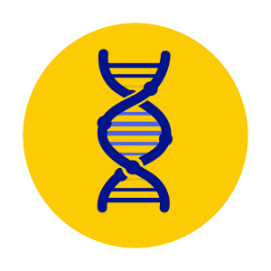 cajucreates science dna molecule caju Sticker