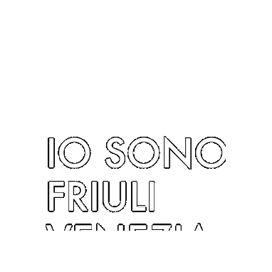 Fabriziononis giphygifmaker fvg friuli iosonofriuliveneziagiulia Sticker