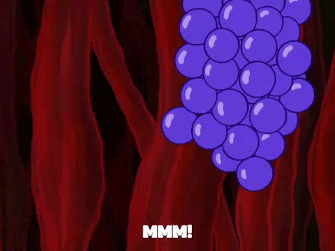 season 8 spongebob's runaway roadtrip: a squarepants family vacation GIF by SpongeBob SquarePants