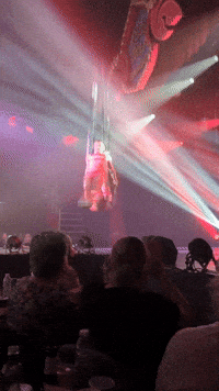 Bristol GIF by Stella 52