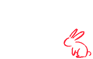 Year Of The Rabbit Bunny Sticker