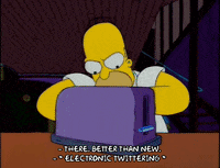 homer simpson episode 6 GIF