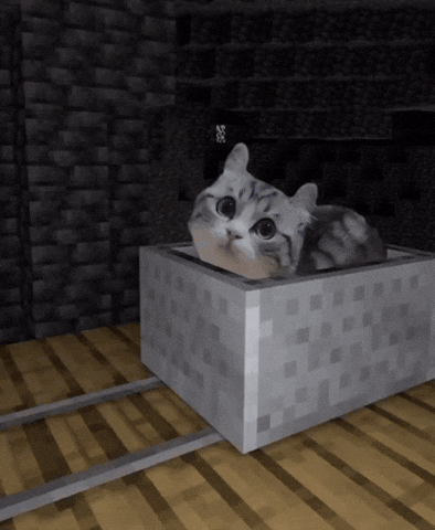 SingNO2 giphyupload komaru minecraft cat GIF