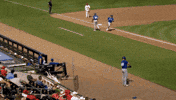 Blue Jays Baseball GIF by Toronto Blue Jays