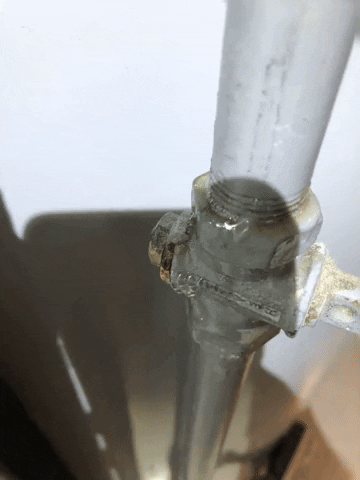 elgans giphyupload GIF
