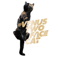 Licking Cat Food Sticker by Sheba Official