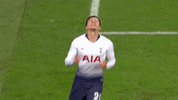 football come on you spurs GIF by Tottenham Hotspur