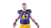 Tevis Sticker by Cal Athletics