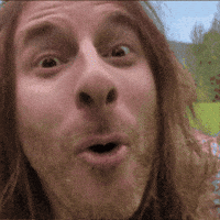 Content Trop Bien GIF