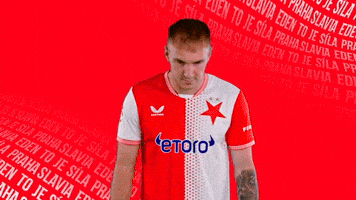 Football Celebration GIF by SK Slavia Praha