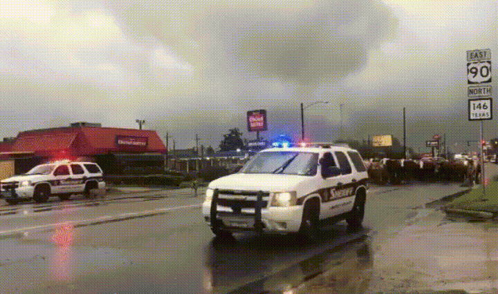 houston part ground cattle horrific GIF