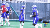 KansasJayhawks highfive ku jayhawks rockchalk GIF