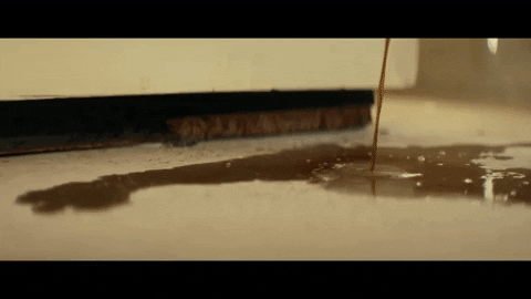 Time Machine GIF by Daisy The Great