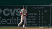 Major League Baseball Yes GIF by MLB