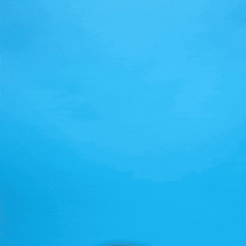 Soccer React GIF by Charlotte FC