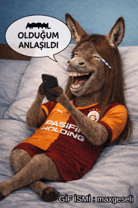 Galatasaray GIF