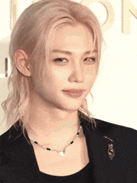Stray Kids Skz GIF