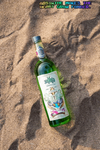 CraftAlcobevLLP absinthe alcohol drunk party booze vodka rum beer GIF