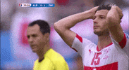 euro 2016 GIF by Sporza