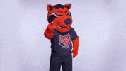 Red Wolves Thumbs Up GIF by Arkansas State University