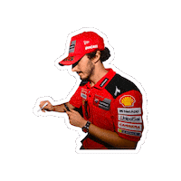 DucatiMotor bike race moto motogp Sticker