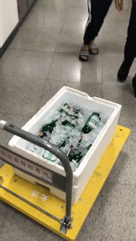 toastdog  GIF