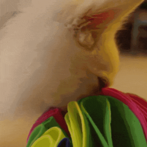 giphyupload GIF