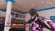 lucha libre mexico GIF by THE WRESTLERS