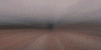 wisconsin GIF