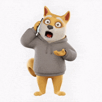 Shiba Inu What GIF by Doge Pound