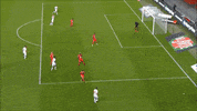 goal lyon GIF by Olympique Lyonnais