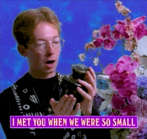 Reunion GIF by The Rainbow Bridge