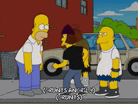 homer simpson dolph starbeam GIF