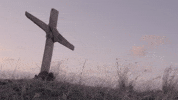 Halloween Cross GIF by The Veils