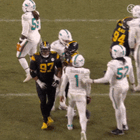 Celebration Nfl GIF by Pittsburgh Steelers