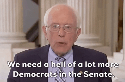 Bernie Sanders GIF by GIPHY News