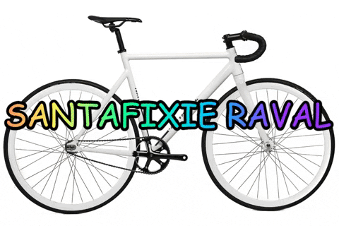 Cycling Fixie GIF by Santafixie
