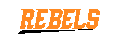 Football Nfl Sticker by Easemakers